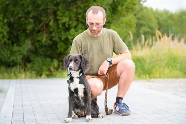 Pies do adopcji, Nowodwór, 26 sierpnia 2025 (4/5)