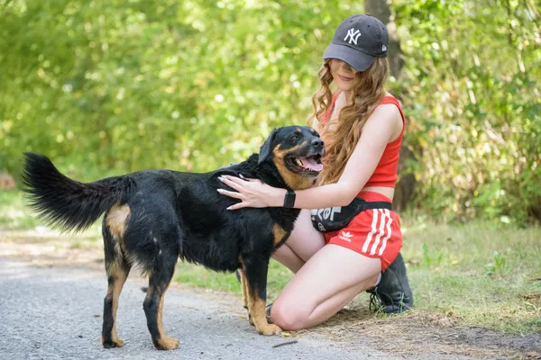 Pies do adopcji, Nowodwór, 26 sierpnia 2025 (1/5)