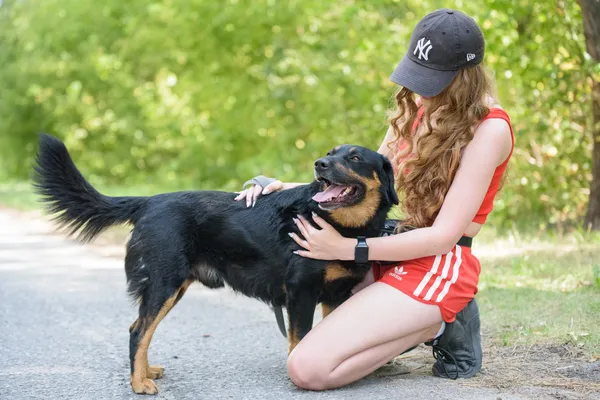 Pies do adopcji, Nowodwór, 26 sierpnia 2025 (5/5)