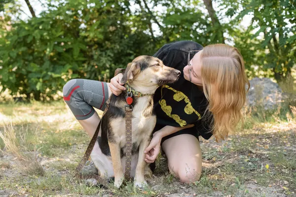 Pies do adopcji, Nowodwór, 26 sierpnia 2025 (2/5)