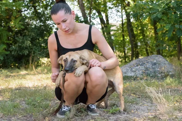 Pies do adopcji, Nowodwór, 26 sierpnia 2025 (2/5)