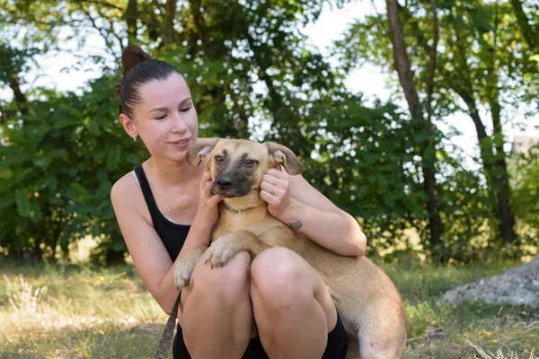 Pies do adopcji, Nowodwór, 26 sierpnia 2025 (3/5)