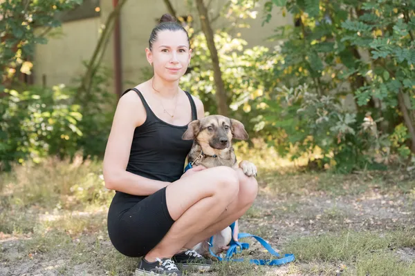 Pies do adopcji, Nowodwór, 26 sierpnia 2025 (3/5)