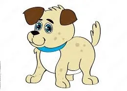 Pies do adopcji, Kraków, 26 sierpnia 2025