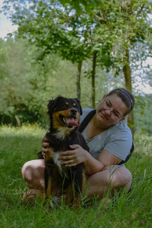 Pies do adopcji, Radom, 29 sierpnia 2025 (5/5)