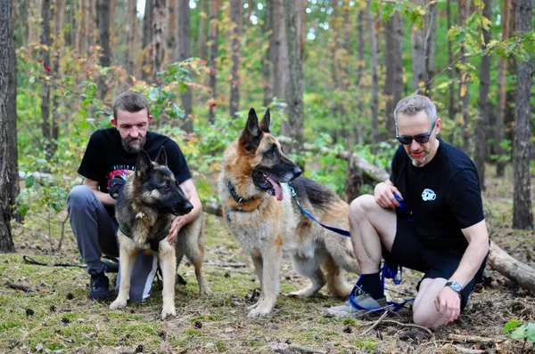 Pies do adopcji, Milanówek, 31 sierpnia 2025 (1/5)