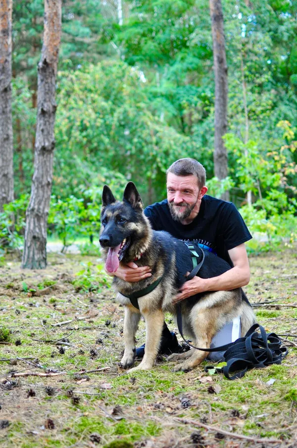 Pies do adopcji, Milanówek, 31 sierpnia 2025 (2/5)