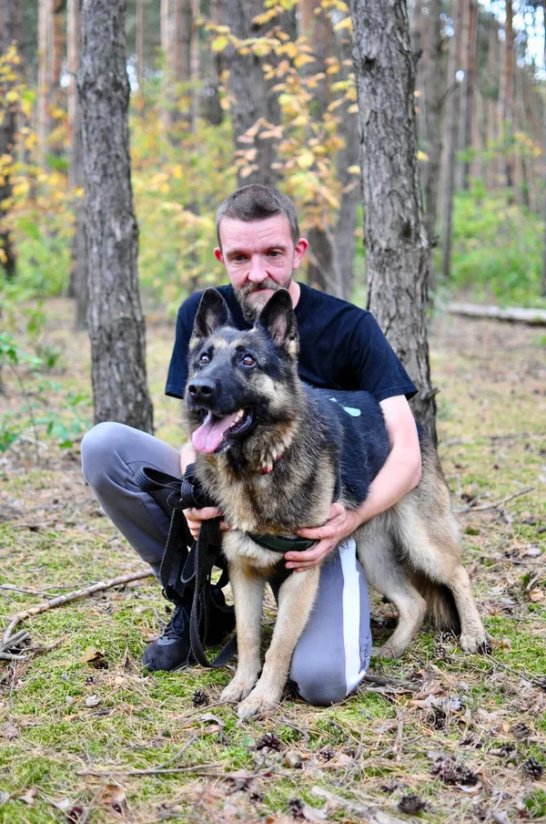 Pies do adopcji, Milanówek, 31 sierpnia 2025 (4/5)