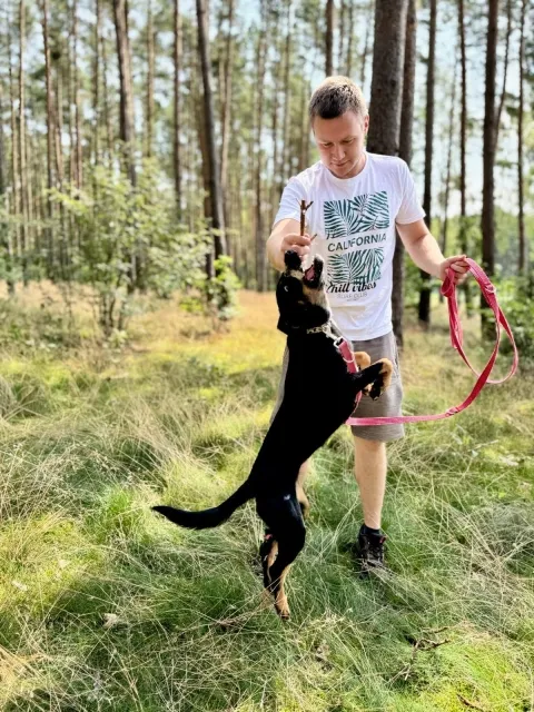 Pies do adopcji, Piła, 7 lipca 2025 (2/5)