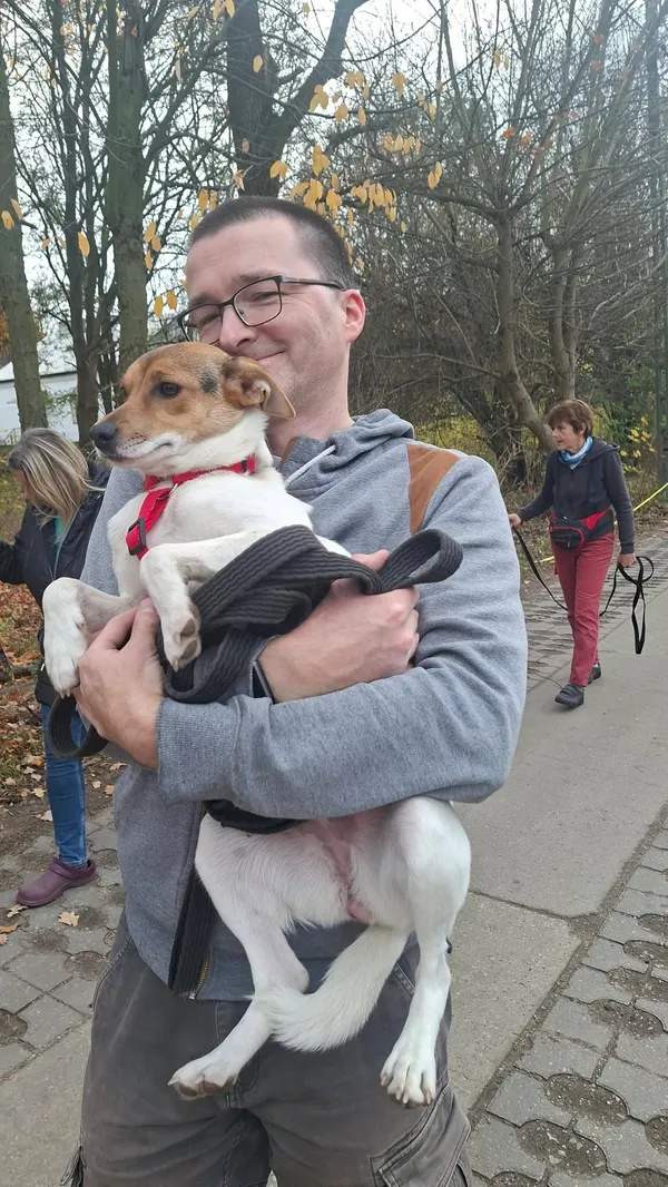 Pies do adopcji, Milanówek, 21 grudnia 2025 (5/5)