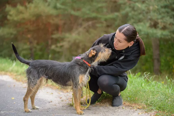 Pies do adopcji, Nowodwór, 2 września 2025 (5/5)