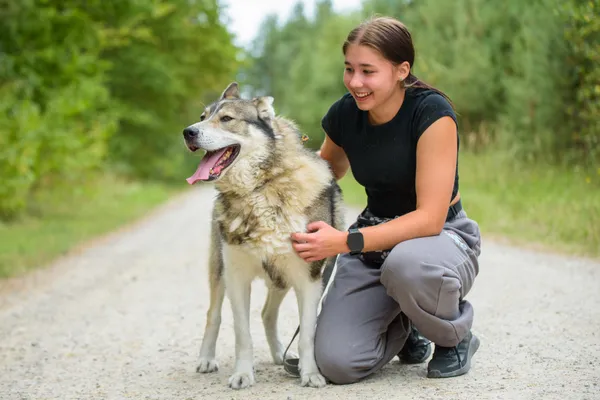 Pies do adopcji, Nowodwór, 4 września 2025 (3/5)