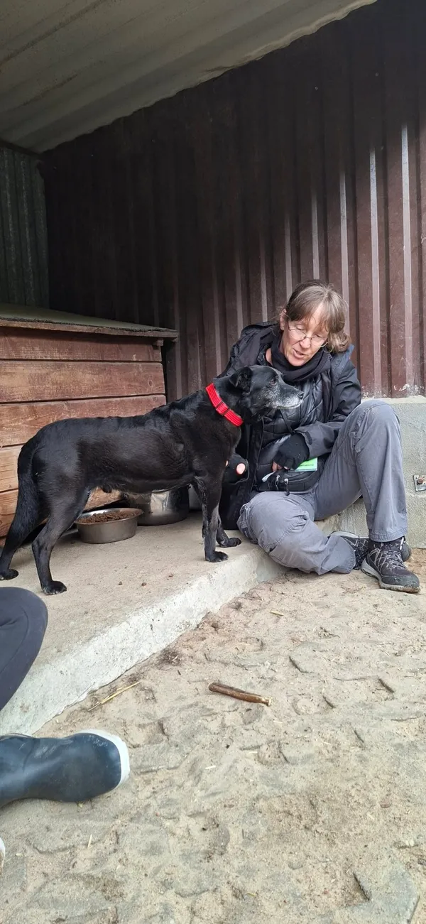 Oddam psa, Warszawa, Szmulowizna, 10 września 2025 (4/6)