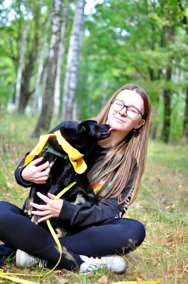 Pies do adopcji, Milanówek, 17 września 2025 (2/5)