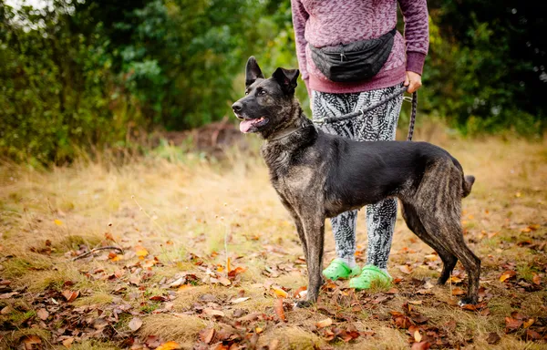 Oddam psa, Warszawa, Filtry, 11 września 2025 (2/6)