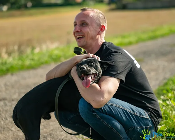 Pies do adopcji, Racławice, 8 września 2025 (1/5)