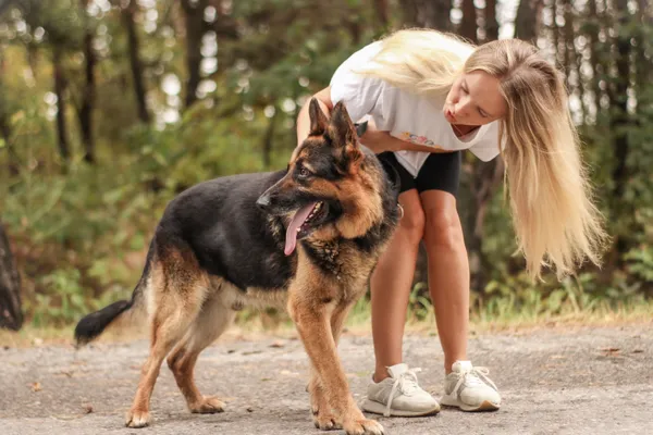 Pies do adopcji, Nowodwór, 15 września 2025 (1/5)