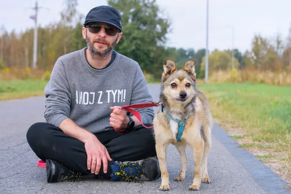 Pies do adopcji, Nowodwór, 15 września 2025 (2/5)