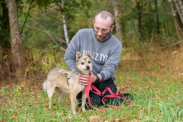 Pies do adopcji, Nowodwór, 15 września 2025 (4/5)