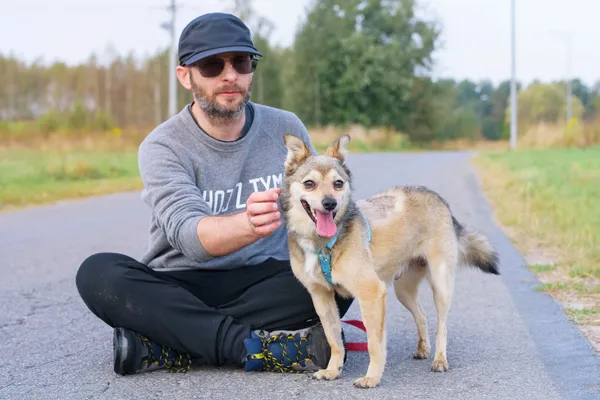 Pies do adopcji, Nowodwór, 15 września 2025 (5/5)