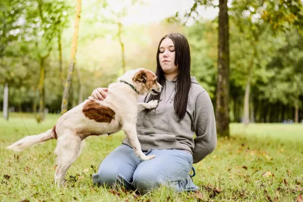 Pies do adopcji, Radom, 19 września 2025 (3/5)