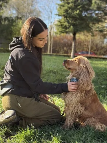 Pies do adopcji, Kraków, 5 września 2025 (2/3)