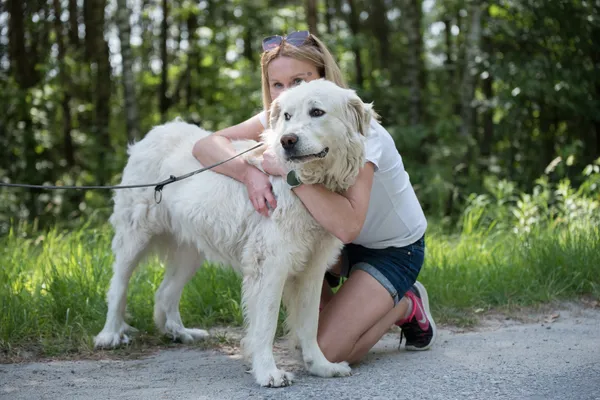 Pies do adopcji, Nowodwór, 7 lipca 2025 (2/5)