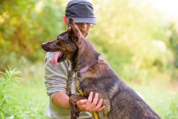 Pies do adopcji, Nowodwór, 22 września 2025 (3/5)