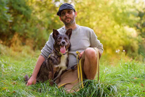 Pies do adopcji, Nowodwór, 22 września 2025 (5/5)