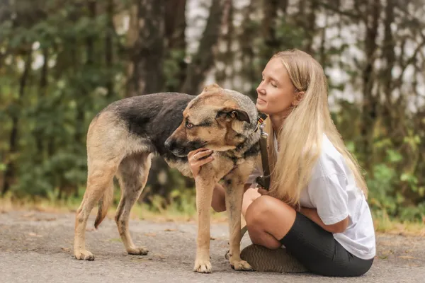 Pies do adopcji, Nowodwór, 22 września 2025 (3/5)