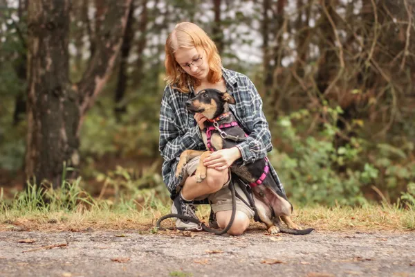 Pies do adopcji, Nowodwór, 22 września 2025 (3/5)