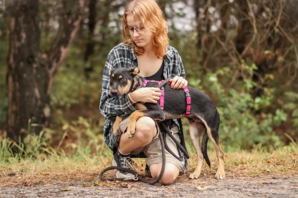 Pies do adopcji, Nowodwór, 22 września 2025 (5/5)