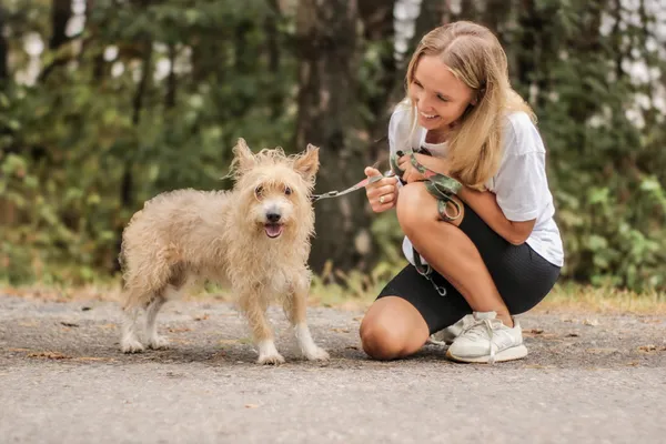 Pies do adopcji, Nowodwór, 22 września 2025 (2/5)