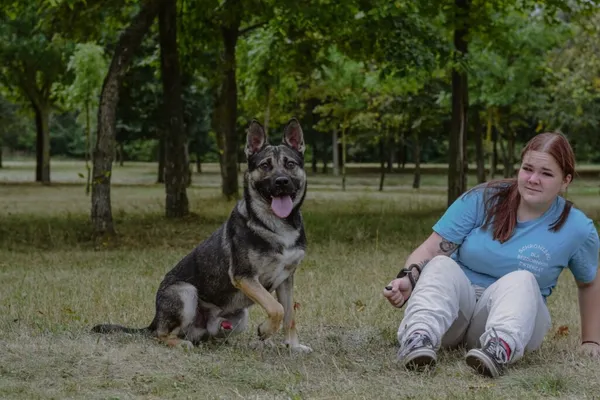 Pies do adopcji, Radom, 23 września 2025 (4/5)