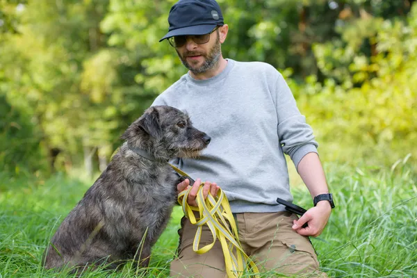 Pies do adopcji, Nowodwór, 24 września 2025 (1/5)