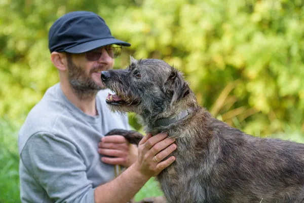 Pies do adopcji, Nowodwór, 24 września 2025 (3/5)