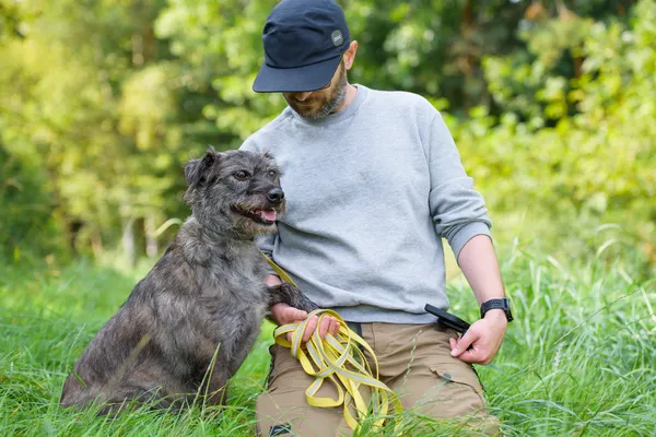 Pies do adopcji, Nowodwór, 24 września 2025 (4/5)