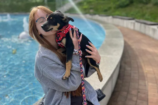 Pies do adopcji, Nowodwór, 25 września 2025 (1/5)