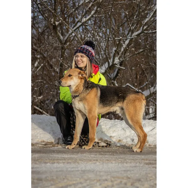 Znaleziono psa, Białystok, 15 lipca 2025 (2/5)