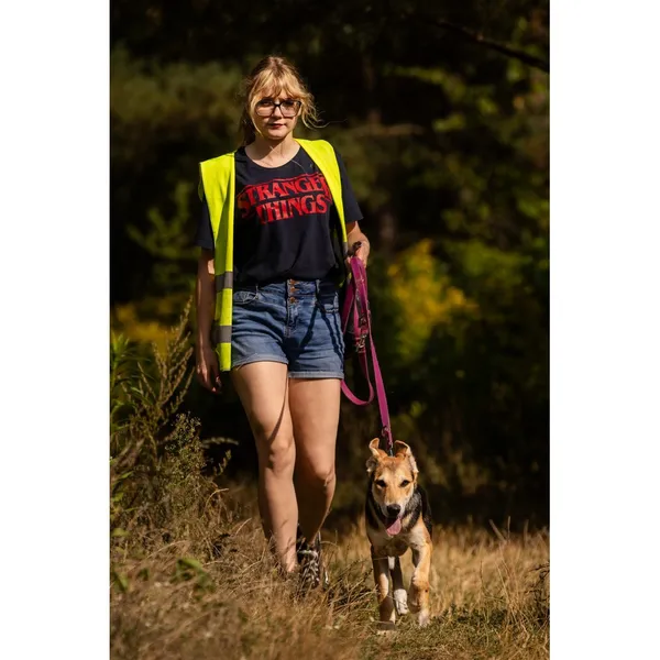 Znaleziono psa, Białystok, 15 lipca 2025 (5/5)