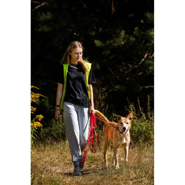 Znaleziono psa, Białystok, 9 czerwca 2025 (3/5)