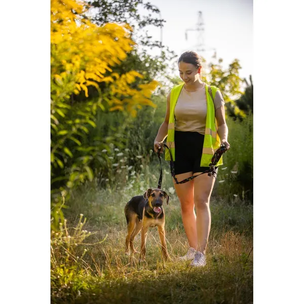 Znaleziono psa, Białystok, 15 lipca 2025 (5/5)