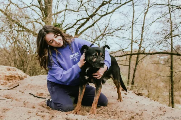 Pies do adopcji, Radom, 28 czerwca 2025 (4/5)