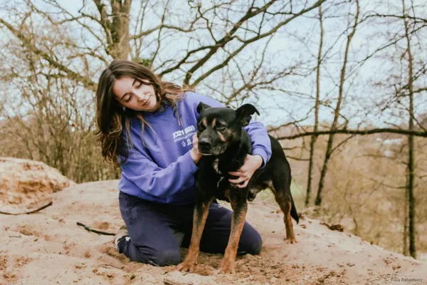 Pies do adopcji, Radom, 28 czerwca 2025 (5/5)