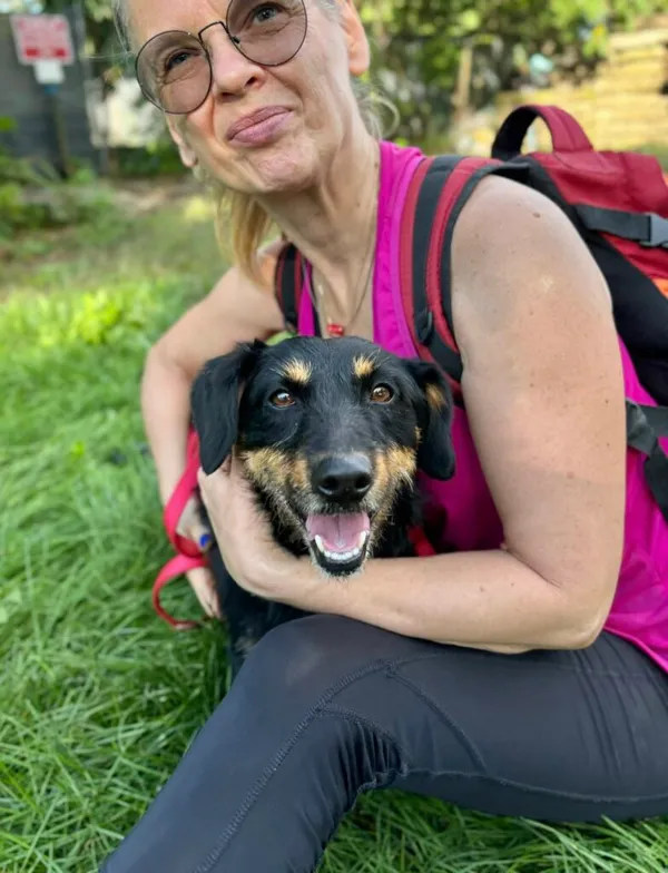 Pies do adopcji, Przyborówko, 6 października 2025 (2/3)