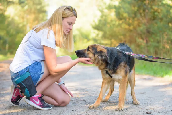 Pies do adopcji, Nowodwór, 5 października 2025 (4/5)