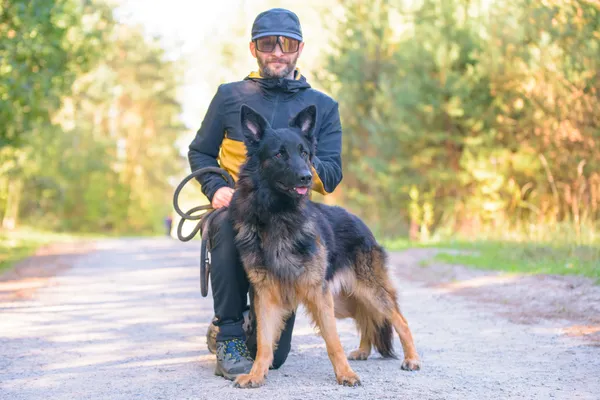 Pies do adopcji, Nowodwór, 8 października 2025 (3/5)