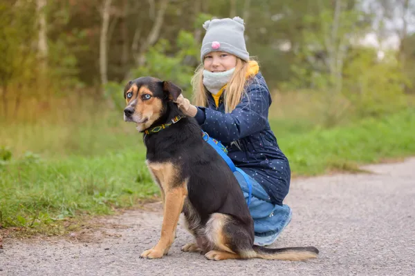 Pies do adopcji, Nowodwór, 16 października 2025 (4/5)