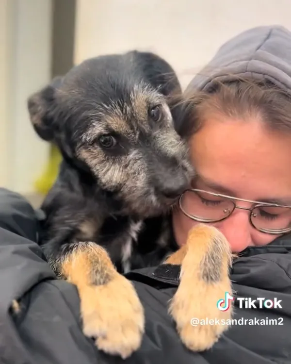 Pies do adopcji, Radom, 14 października 2025