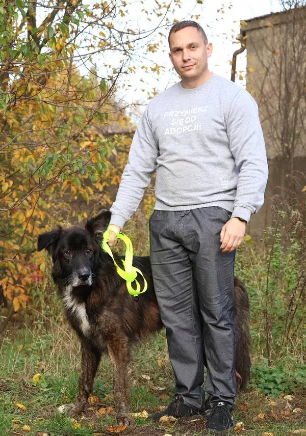 Znaleziono psa, Łódź, 13 października 2025 (3/5)